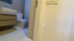 The Lakefront Residences (D22), Condominium #531263911